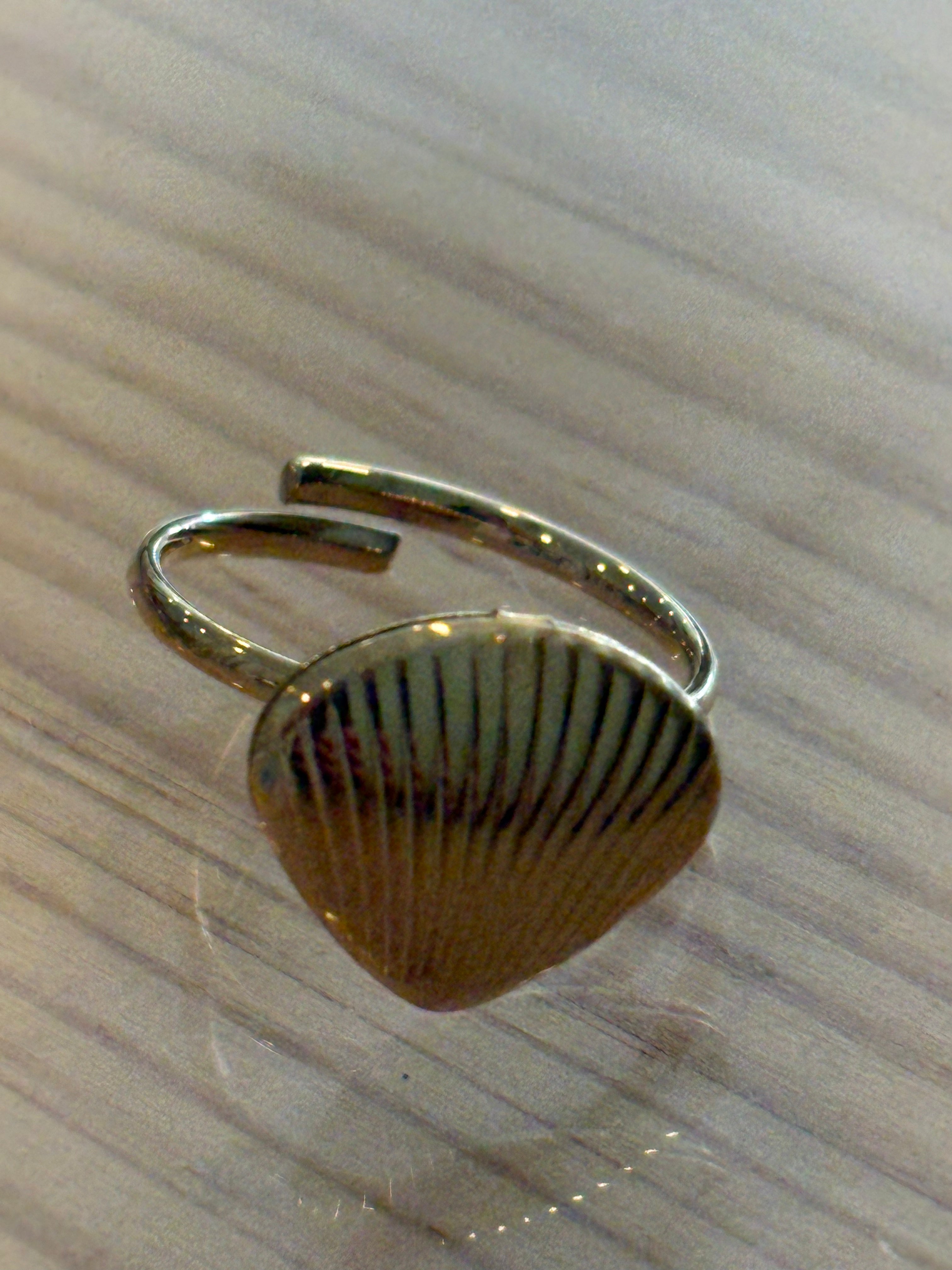 Anillo ajustable acero