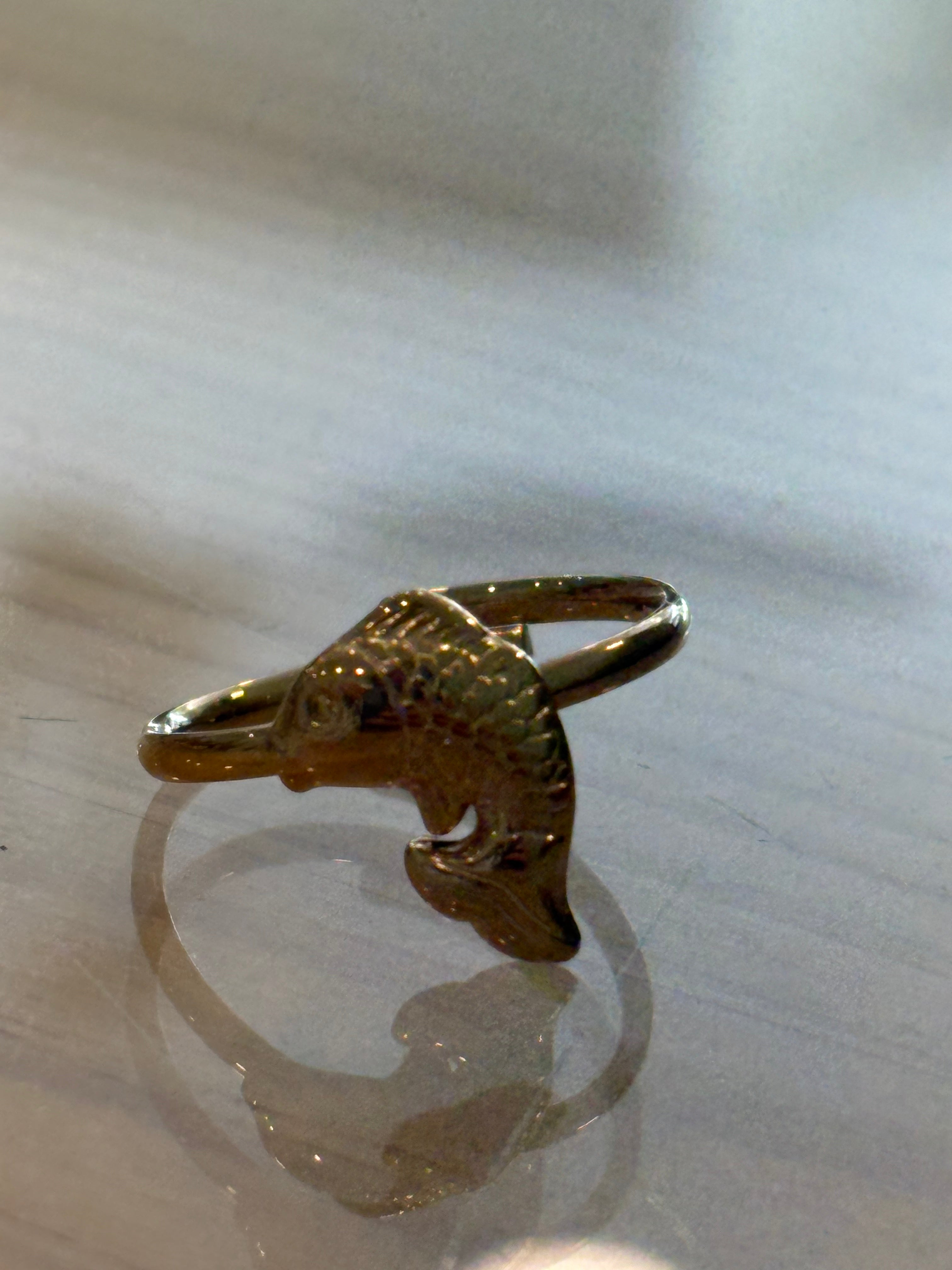 Anillo ajustable acero