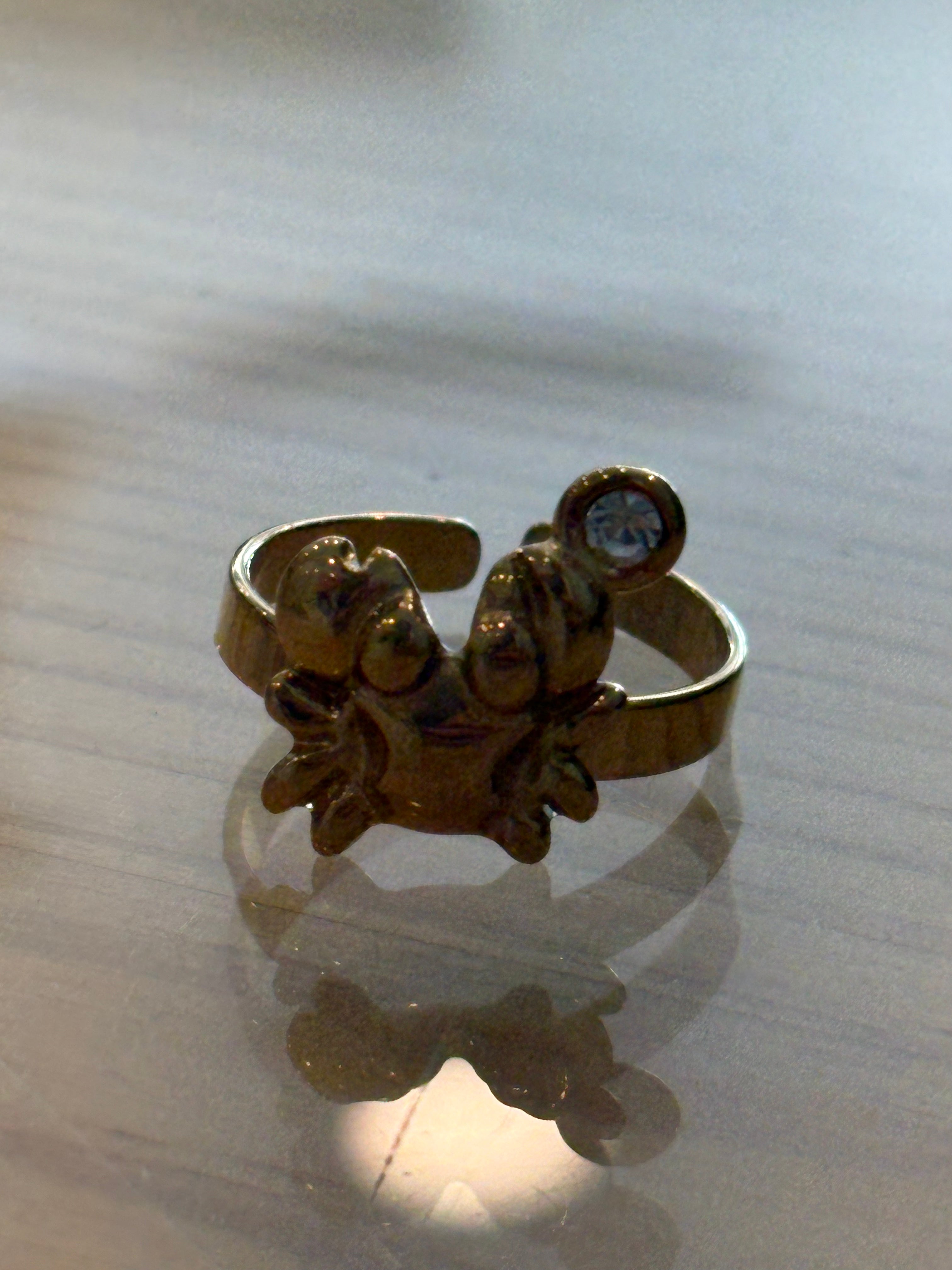 Anillo ajustable acero